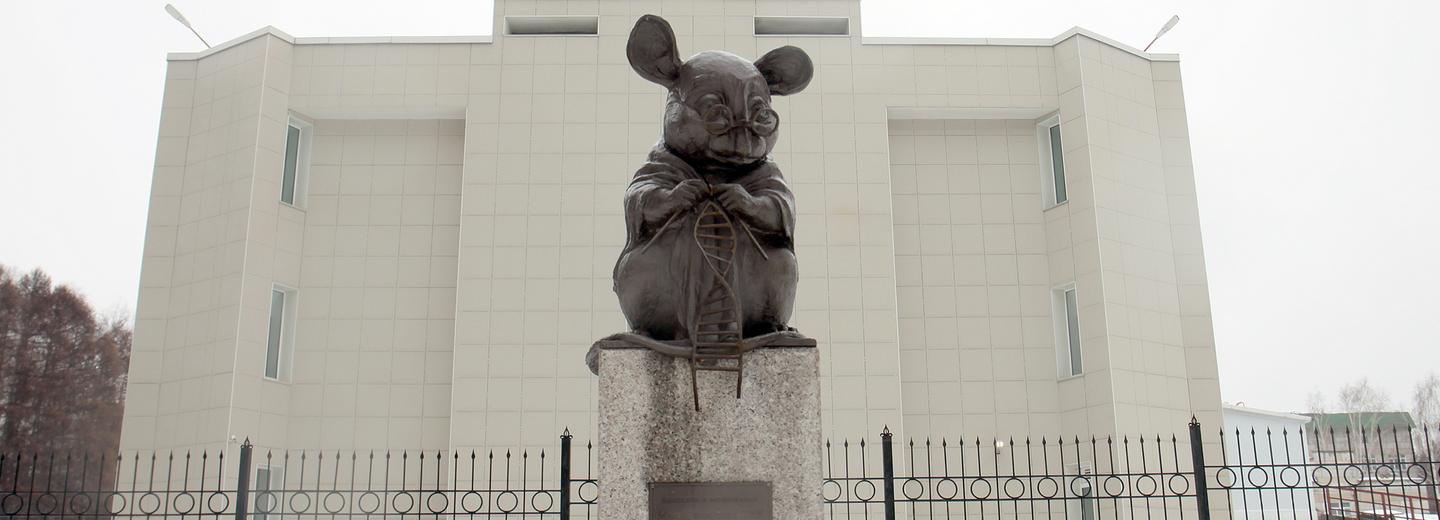 Опорный центр биотехнологий и геномной селекции откроют в Новосибирске