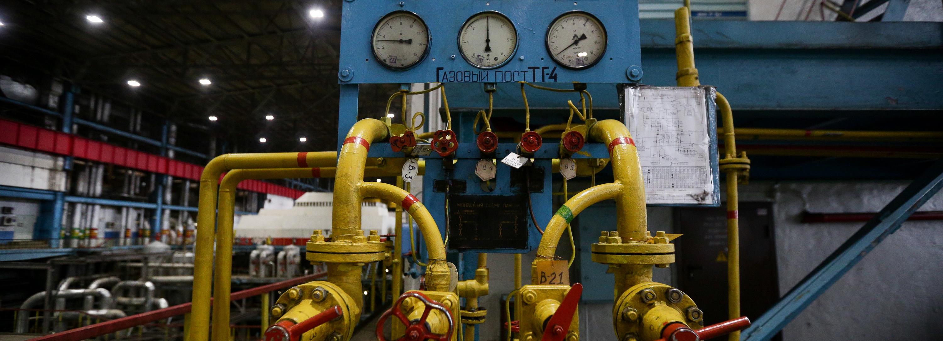 Новосибирская неделя: отопление, уровень воды и стерильные деревья