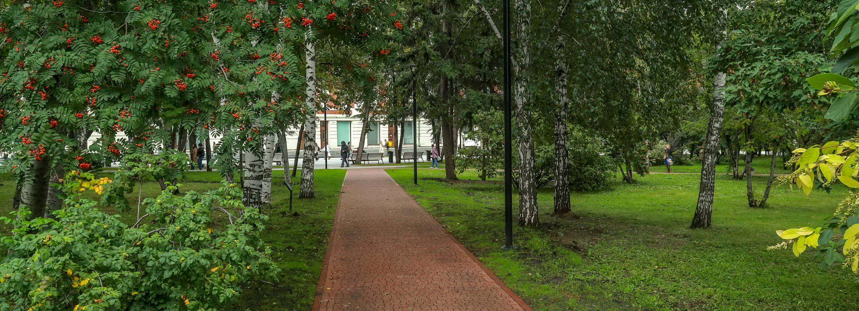 Зелёный Новосибирск: почему в Первомайском сквере плитка разных цветов