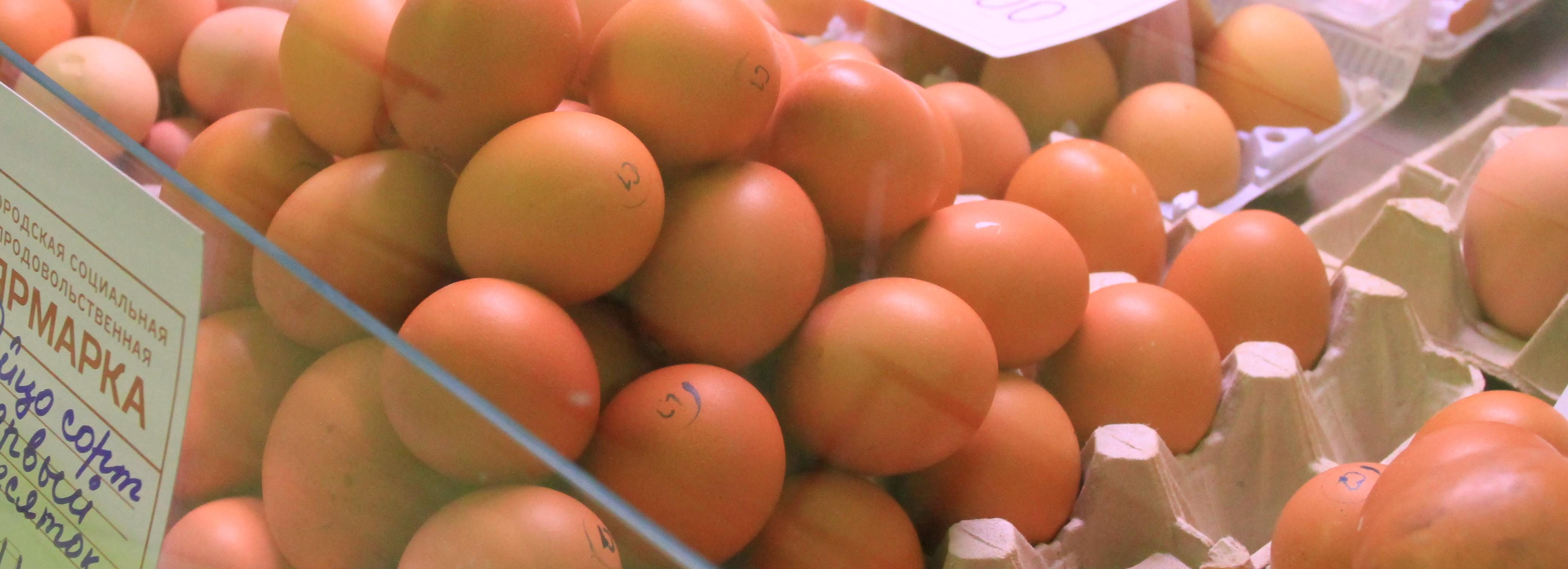 Как будут работать социальные ярмарки Новосибирска на праздниках