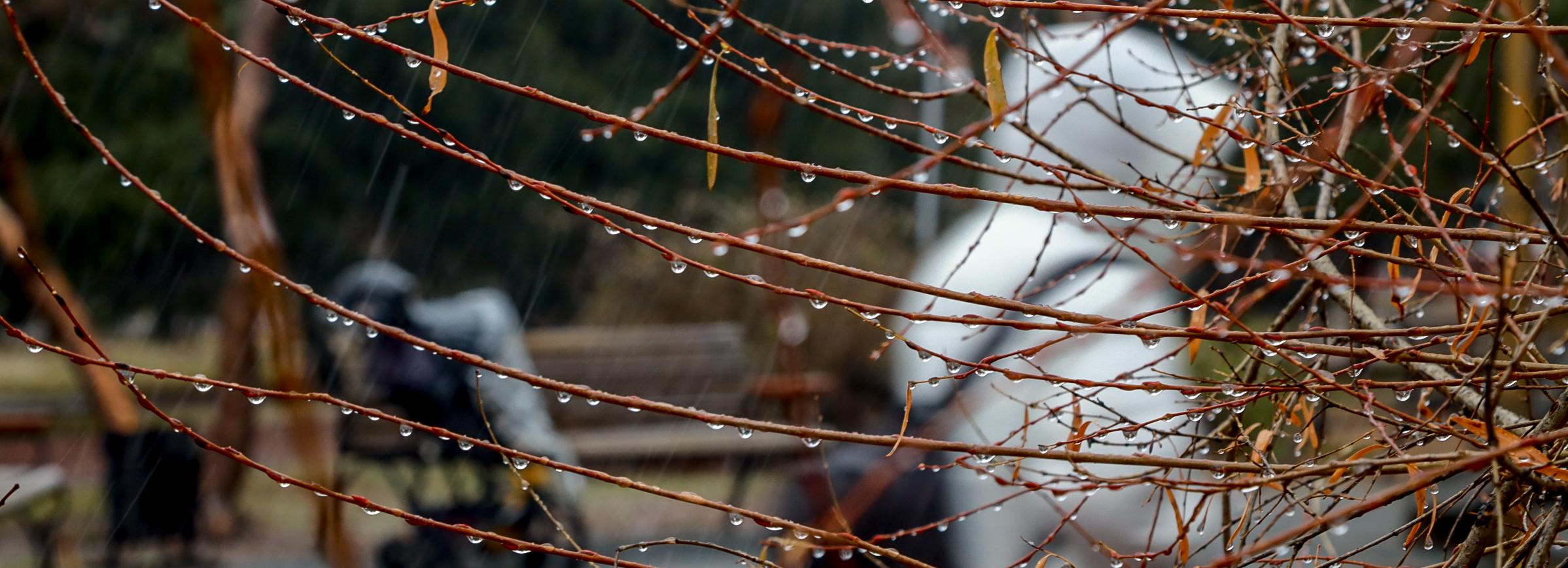 Волна из Арктики: почему в Новосибирске пошёл снег и когда вернётся +28
