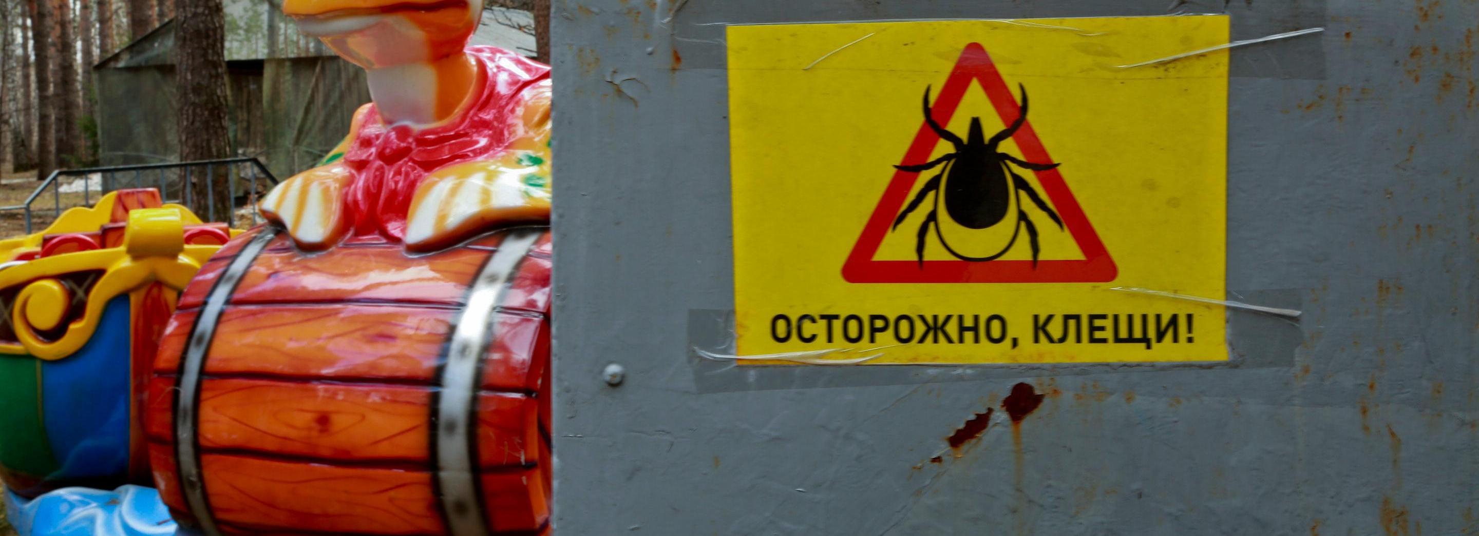 Клещи за неделю укусили 210 жителей Новосибирской области