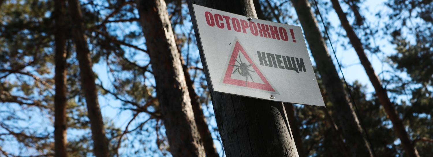 Новосибирские кладбища начали обрабатывать от клещей
