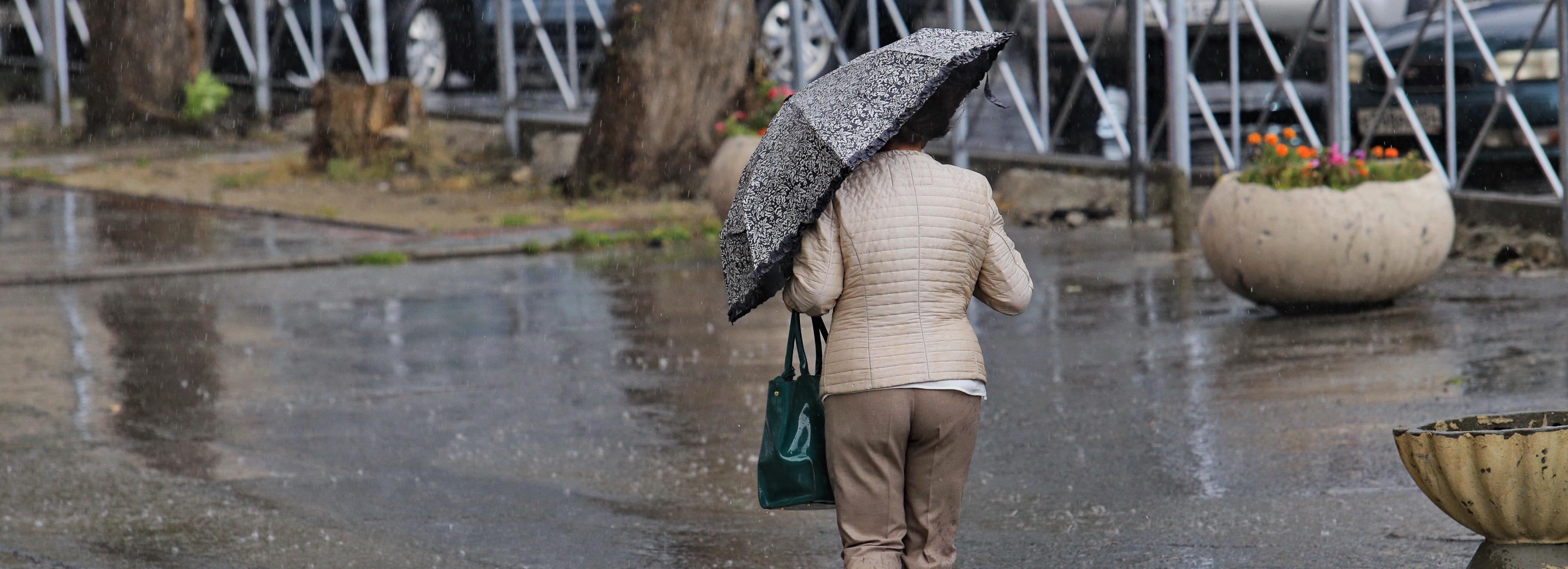 МЧС предупредило новосибирцев о шквалистом ветре, граде и грозах