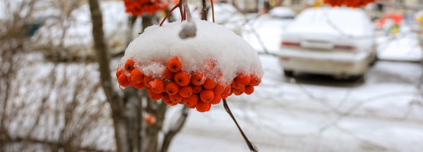 Весеннюю погоду несёт в Новосибирск тёплый воздух из Казахстана