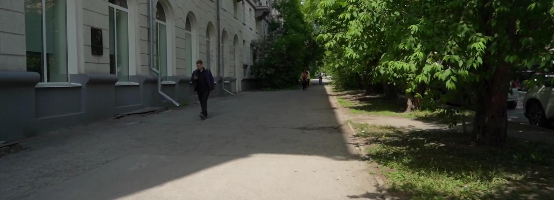 Почти тысячу новых деревьев и кустарников высадят на улице Урицкого