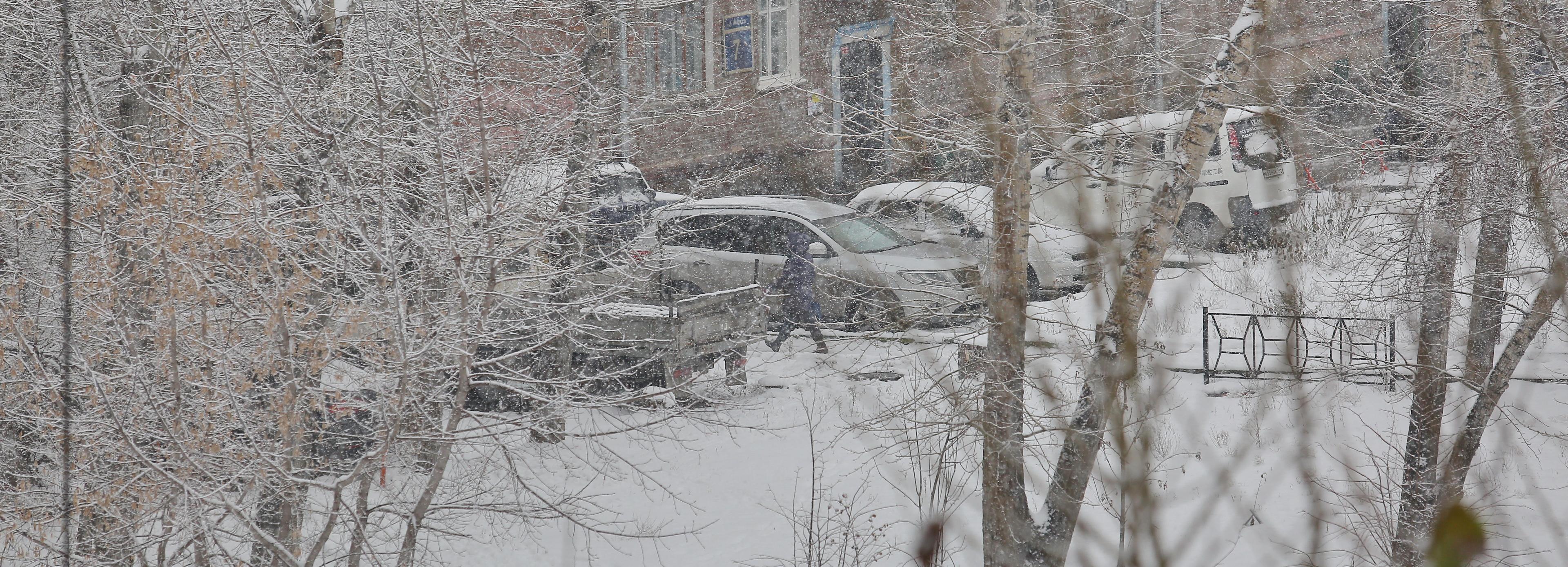 Сильный ветер, снег и метели разбушуются 14 февраля в Новосибирске