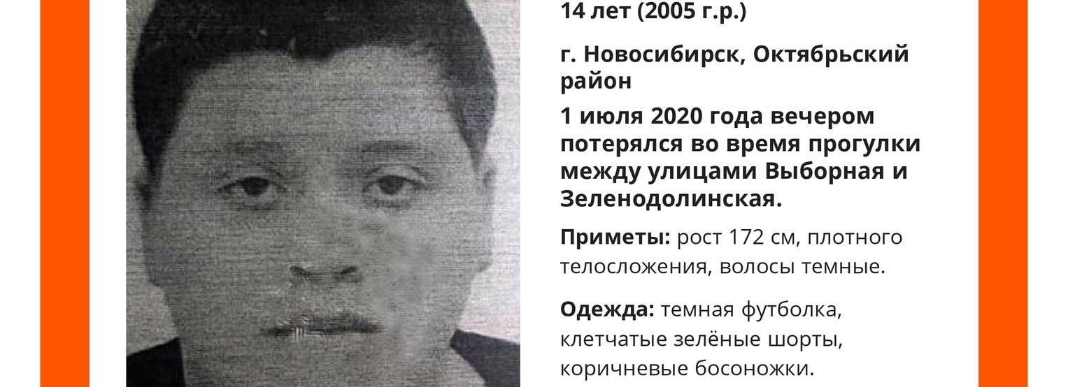 В лесу на Ключ-Камышенском плато ищут 14-летнего подростка