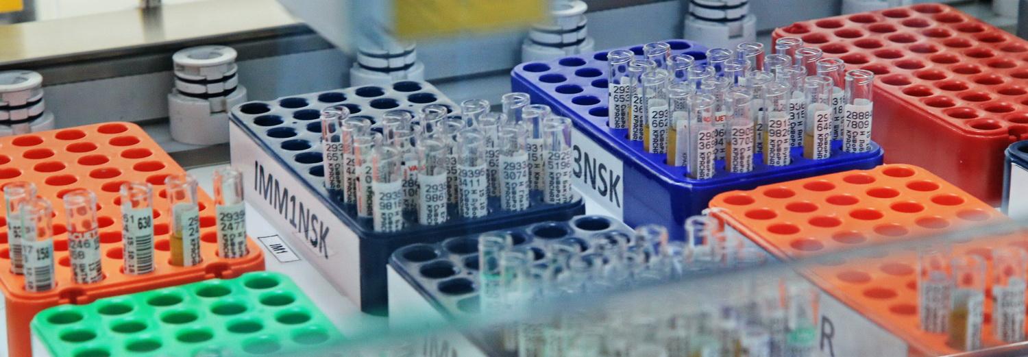 Легальный допинг из растений разрабатывают в Новосибирске