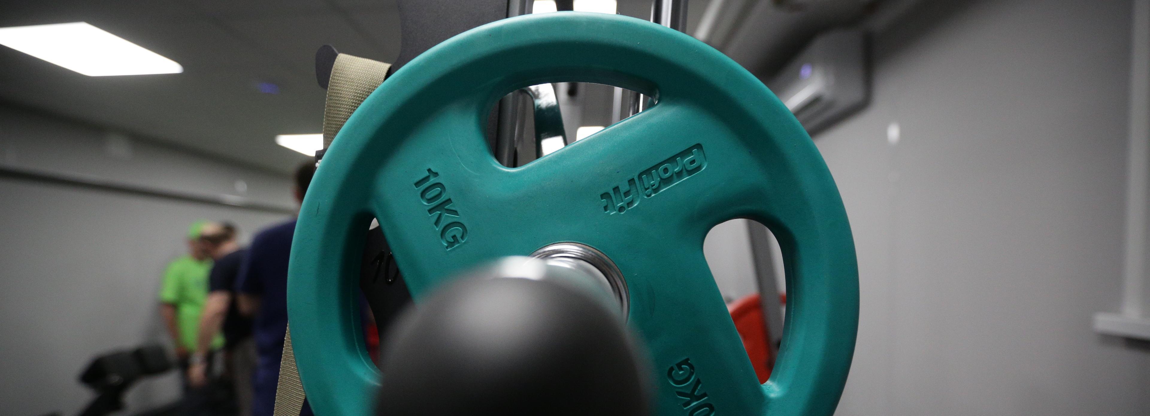 Создать кафедру фитнеса в новосибирском вузе просят бизнесмены