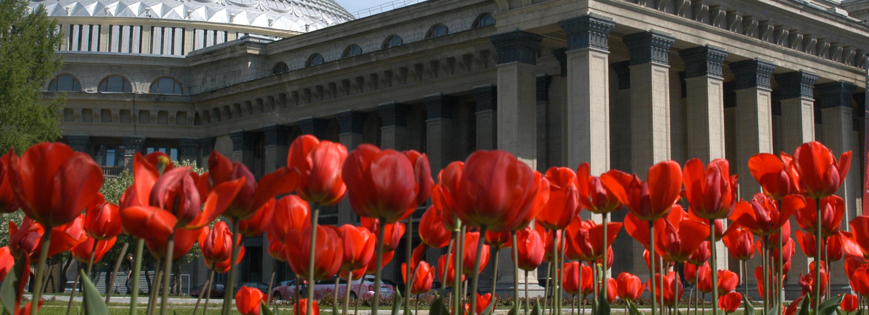 Фотозоны в стиле 1940-х откроют в сквере у НОВАТа перед Днём Победы