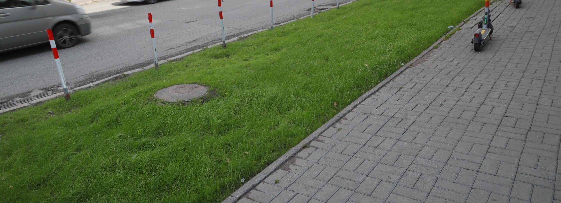 Как преображаются газоны на улицах Новосибирска: фото до и после