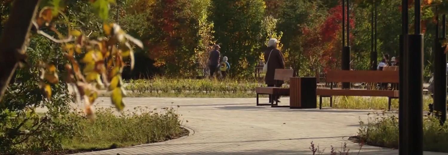 «Тропы здоровья» для пожилых новосибирцев сделают в парках и скверах