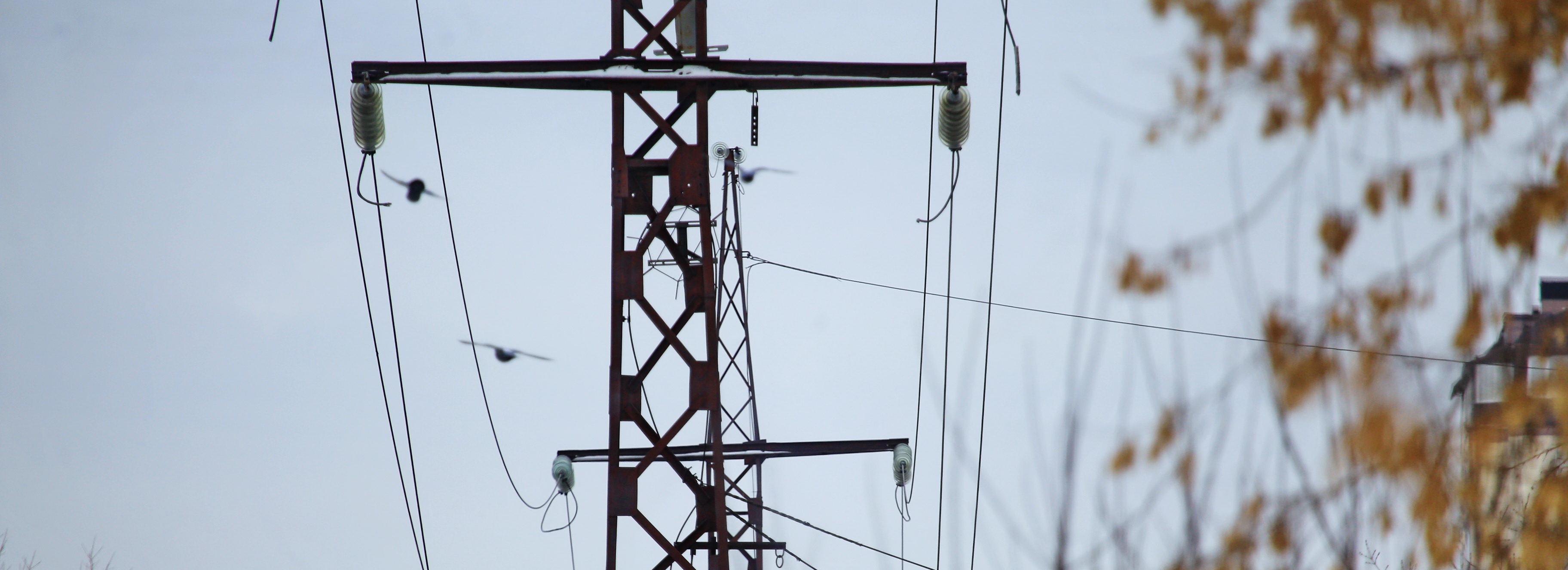 Линию электропередачи для крупного сырзавода строят под Новосибирском
