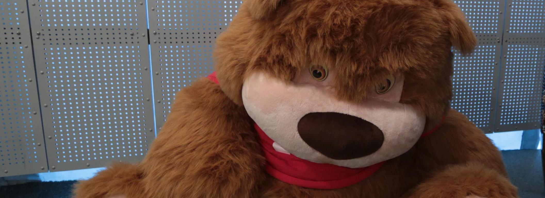 В Новосибирске стало больше детей с саркопеническим ожирением