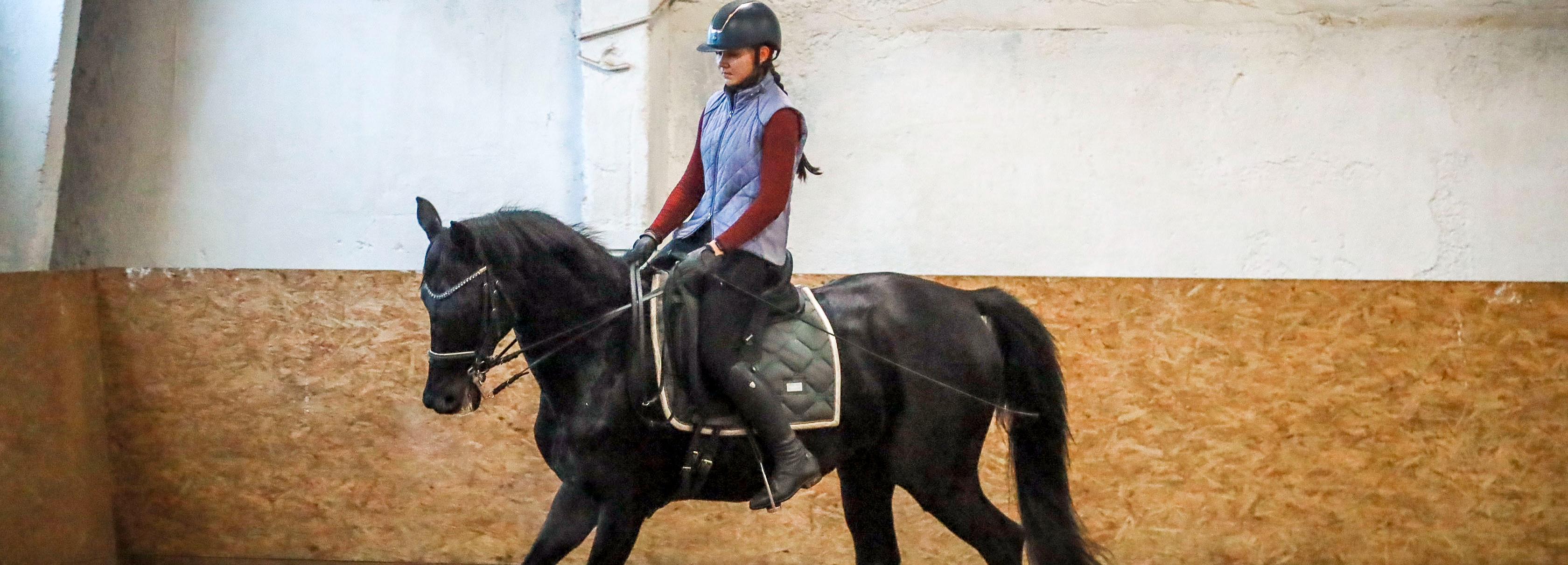 «Лошади — чистый лист бумаги»: как обучают верховой езде в Новосибирске