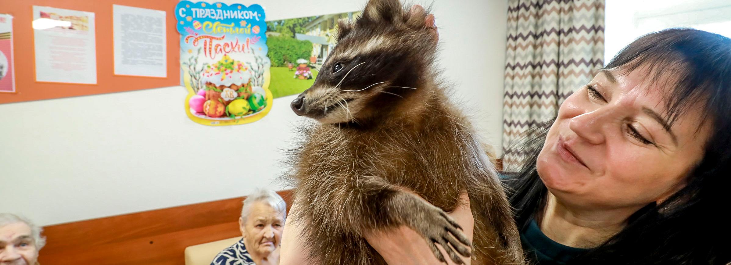 Собаки, черепашки и енот устроили пет-терапию в доме милосердия