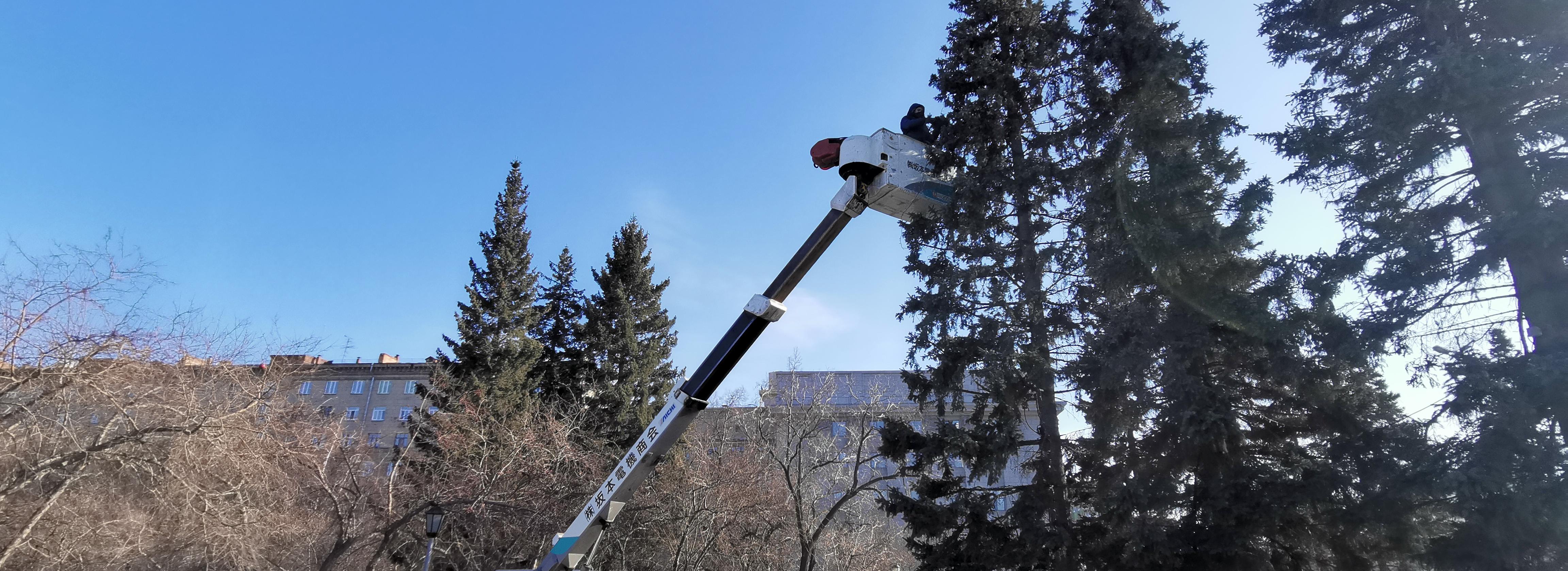 Ёлки на площади Ленина в Новосибирске отмоют от грязи