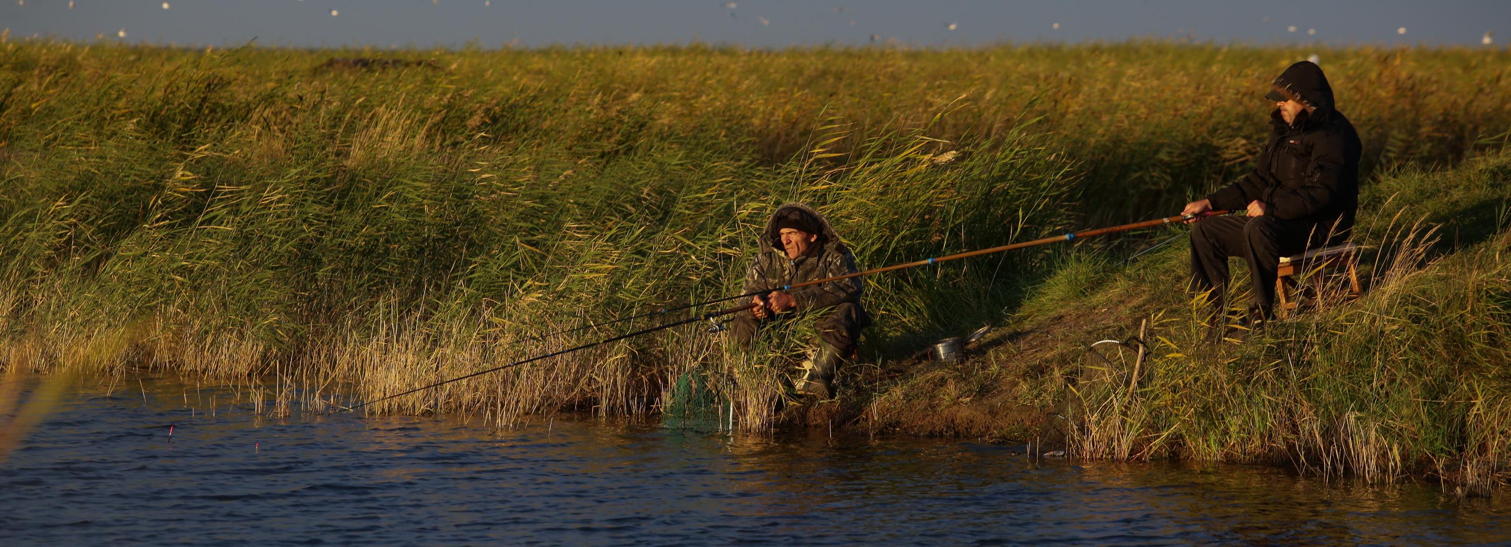 Вдвое больше сазана и карася отправили в Китай в этом году