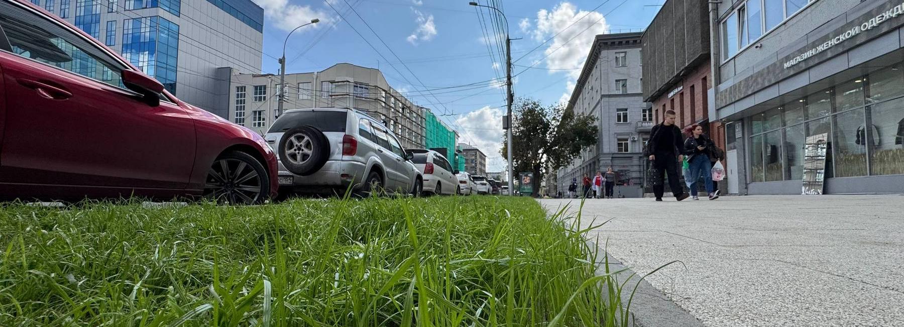 Газоны вместо ограждений: как в Новосибирске обновляют пешеходные зоны