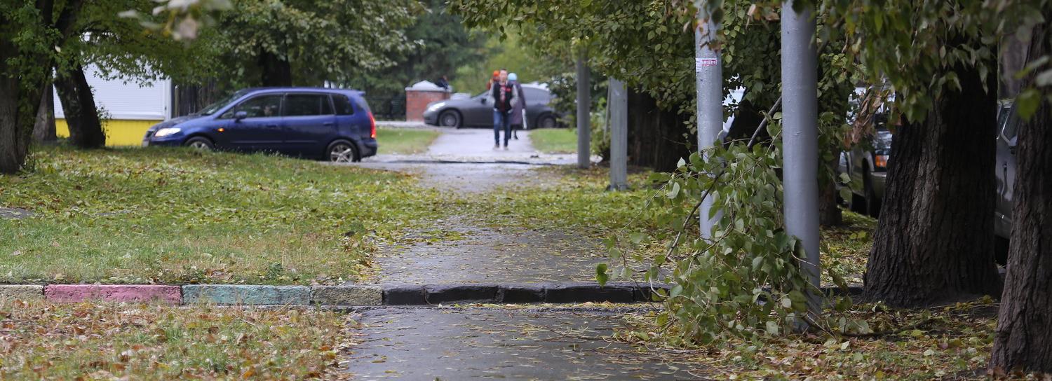 Мощный ливень накроет Новосибирск ближайшей ночью