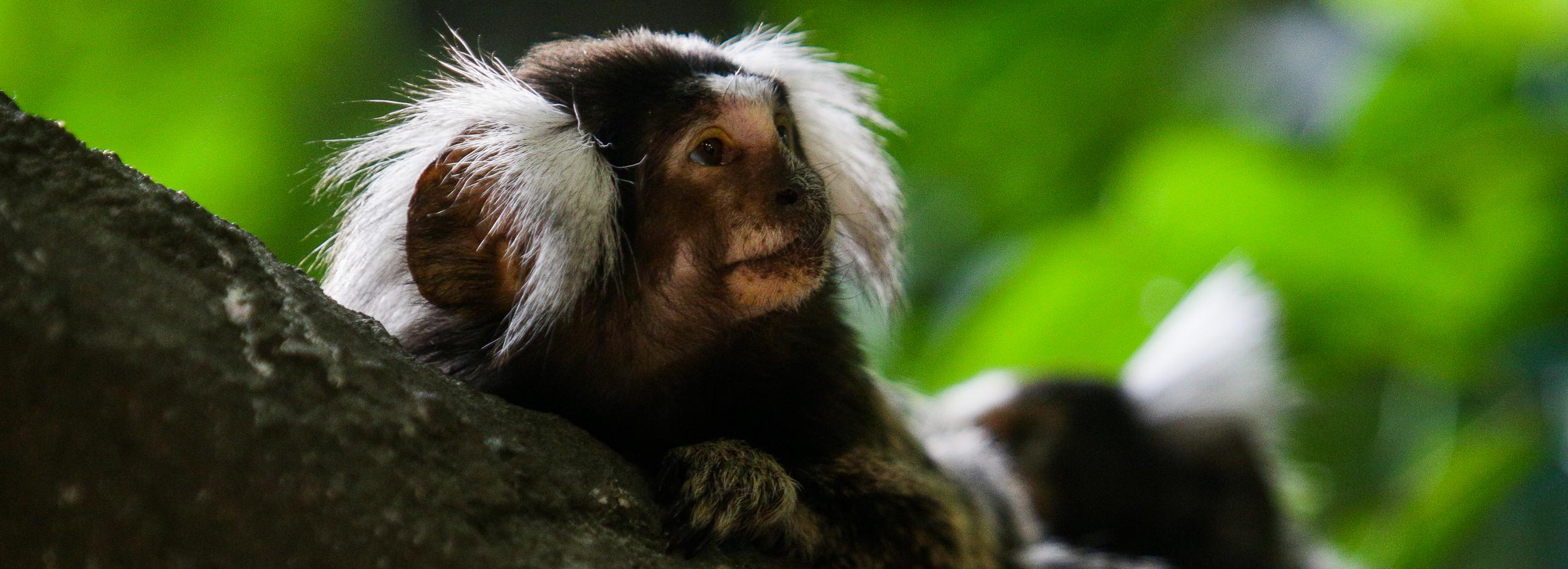 Яндекс составил рейтинг достопримечательностей Новосибирской области