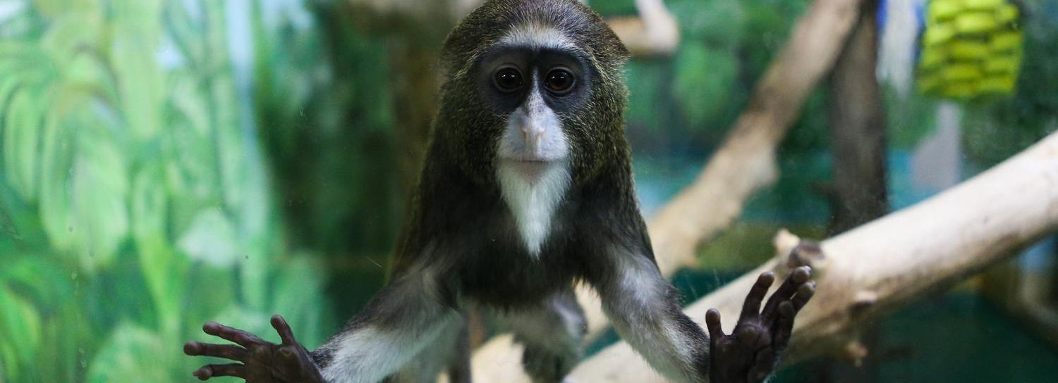 Праздник урожая для щедрых дачников устроят в Новосибирском зоопарке