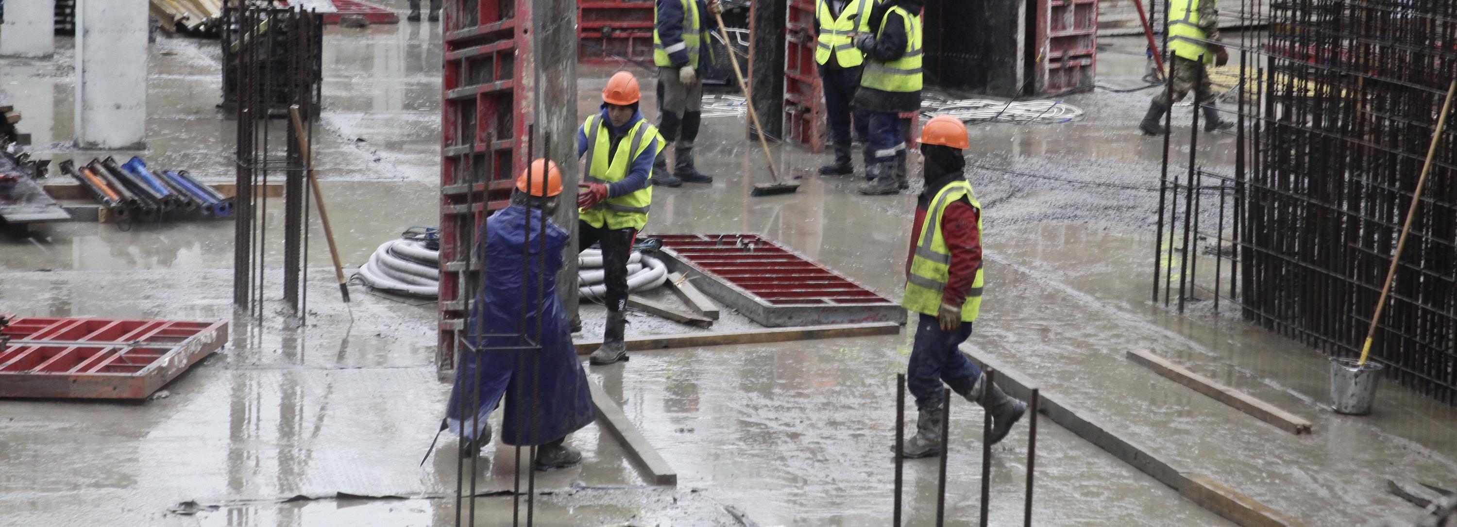 Новосибирская неделя: новая школа, урбан-лекции и редкие звери