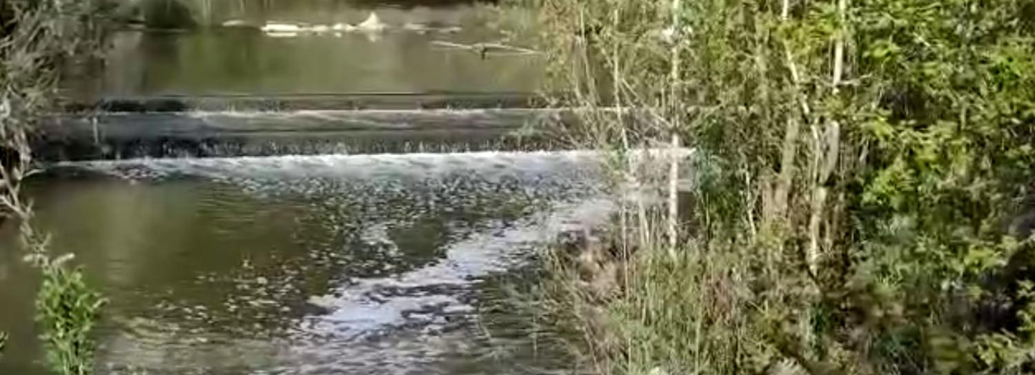 Пена с неприятным запахом появилась на реке Туле в Новосибирске