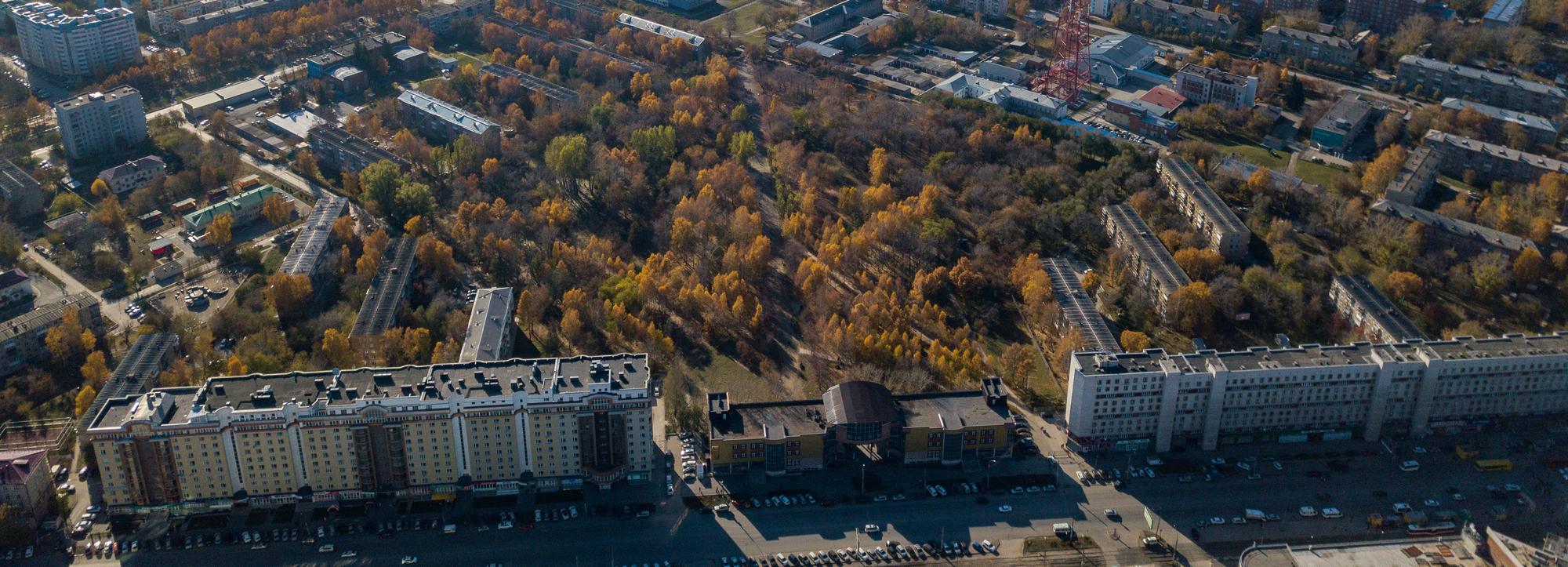 Жасминовый променад появится в новом сквере Сибиряков-Гвардейцев