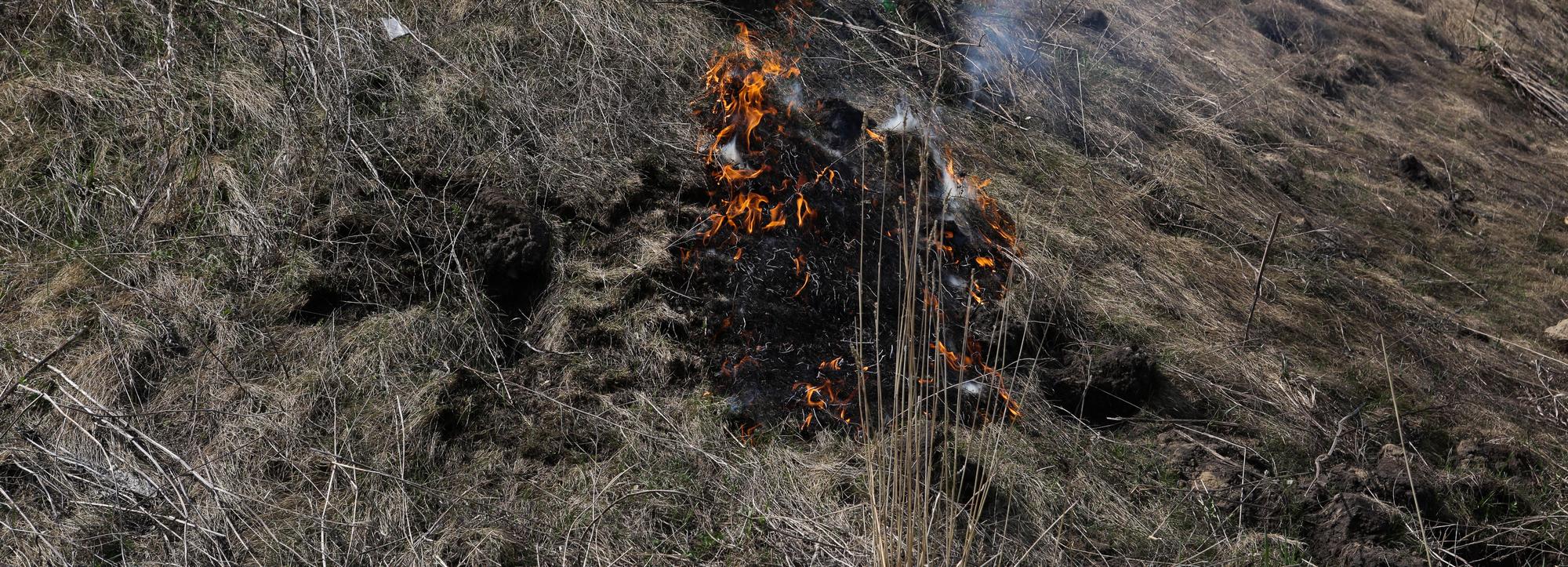 Лесной пожар на площади 2,1 га обнаружили в Новосибирской области