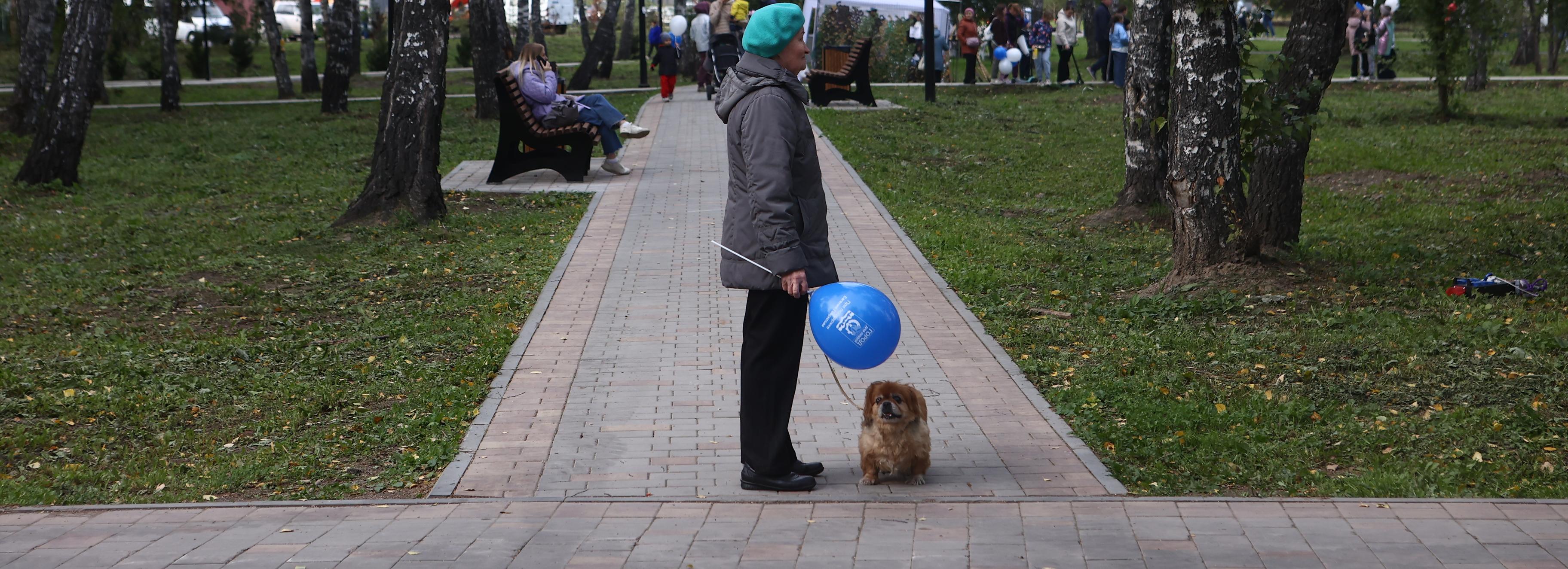 Для сквера Героев Донбасса закупят 2000 кубометров растительного грунта