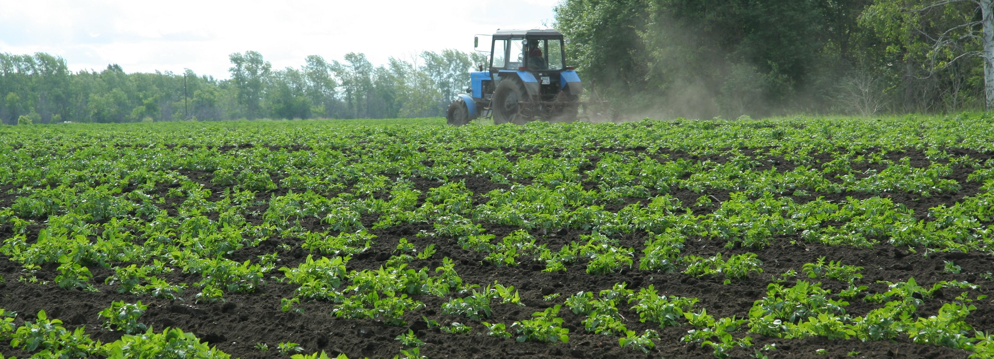 Органические капсулы для удобрения начали производить под Новосибирском