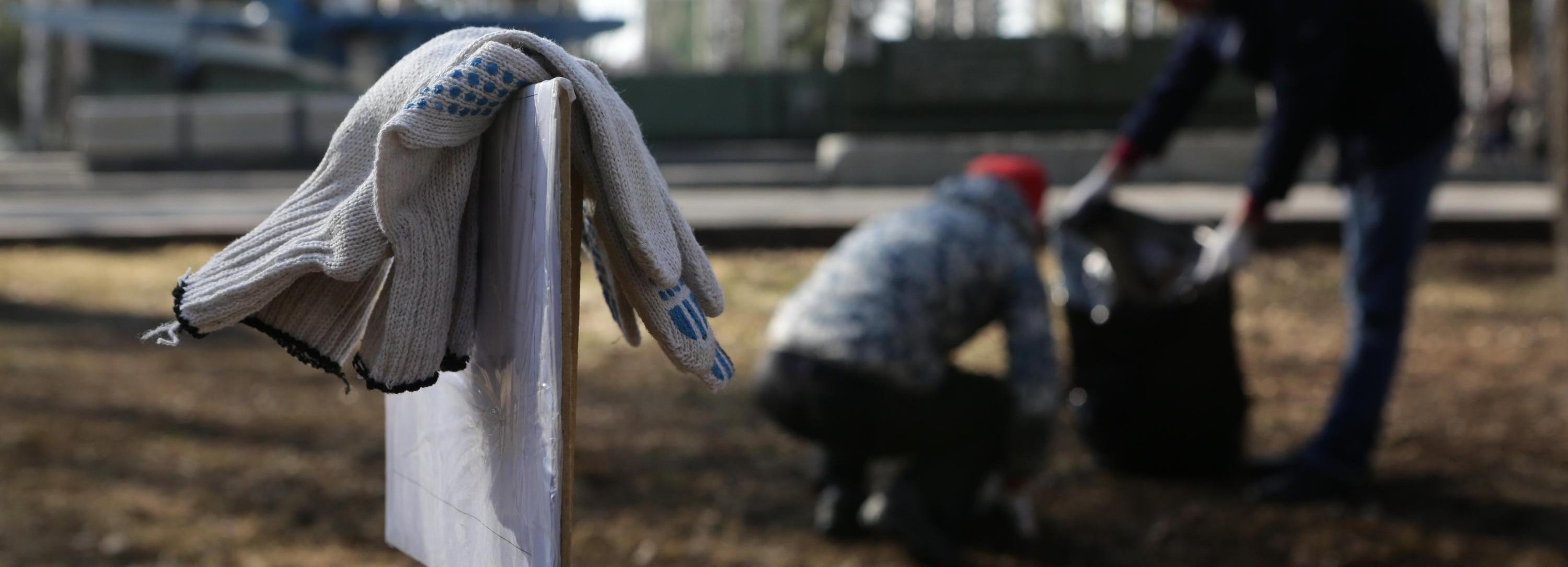 Площадку для парка «Чербузы» приведут в порядок на субботнике