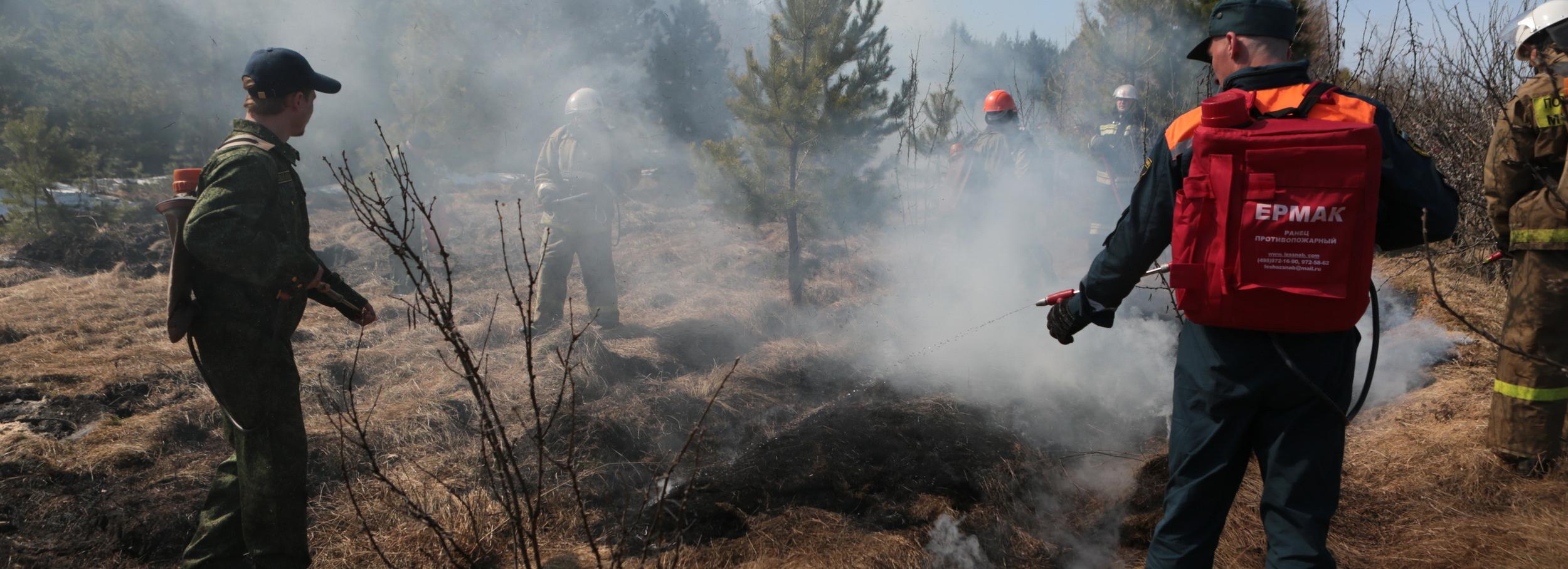 В 4 млн рублей оценили ущерб от лесных пожаров в Новосибирской области