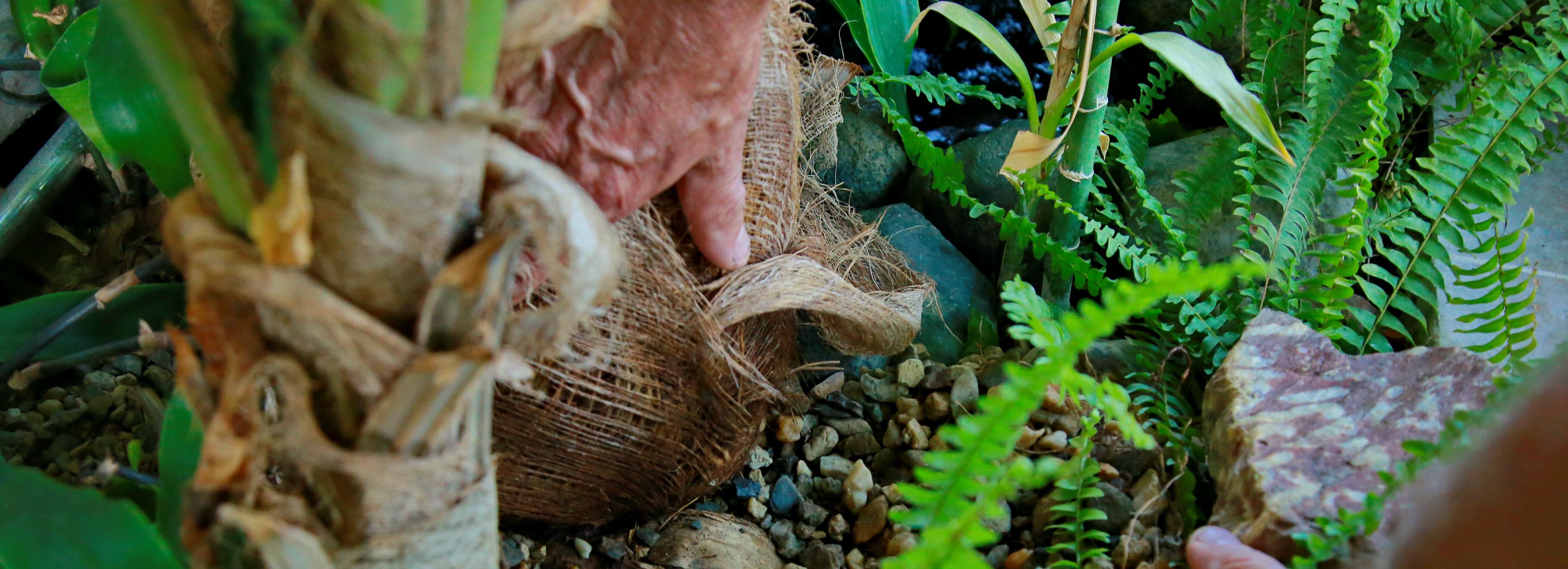 Импорт орехов в Сибирь вырос в четыре раза