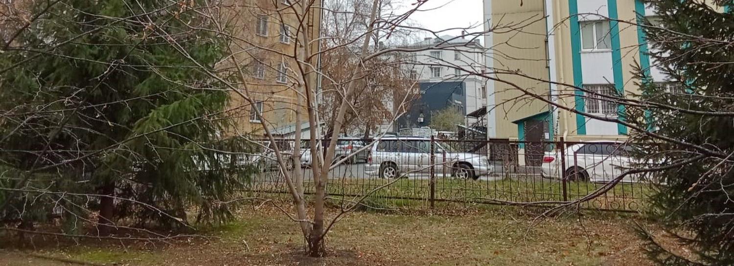 Взобравшаяся на дерево 8-летняя девочка всполошила бойцов ГБР