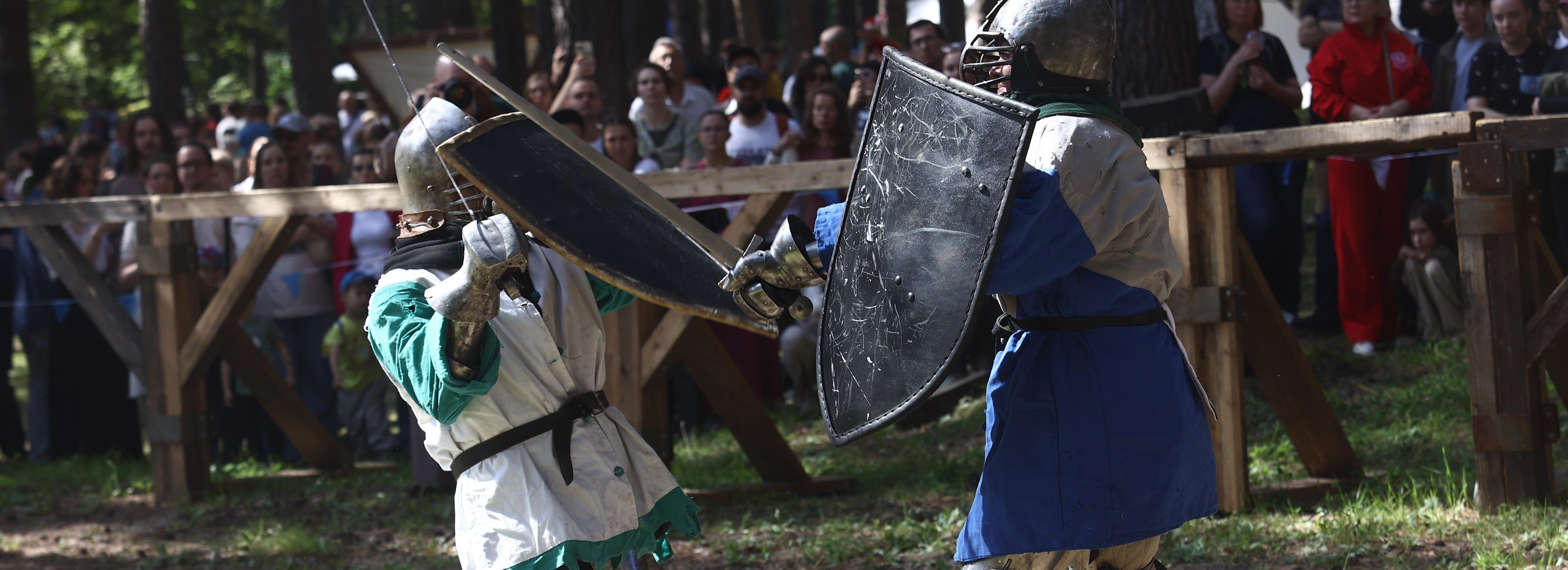 Фестиваль «Княжий двор» в Новосибирске собрал 70 тысяч гостей