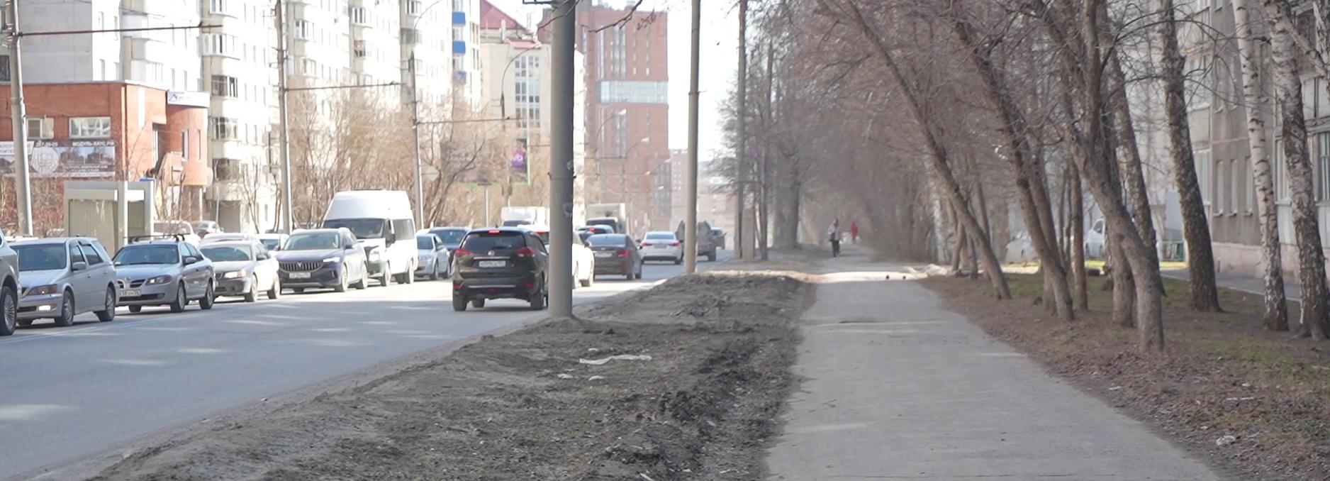 Мэр Кудрявцев: аварийные деревья заменят на новые на улице Красина