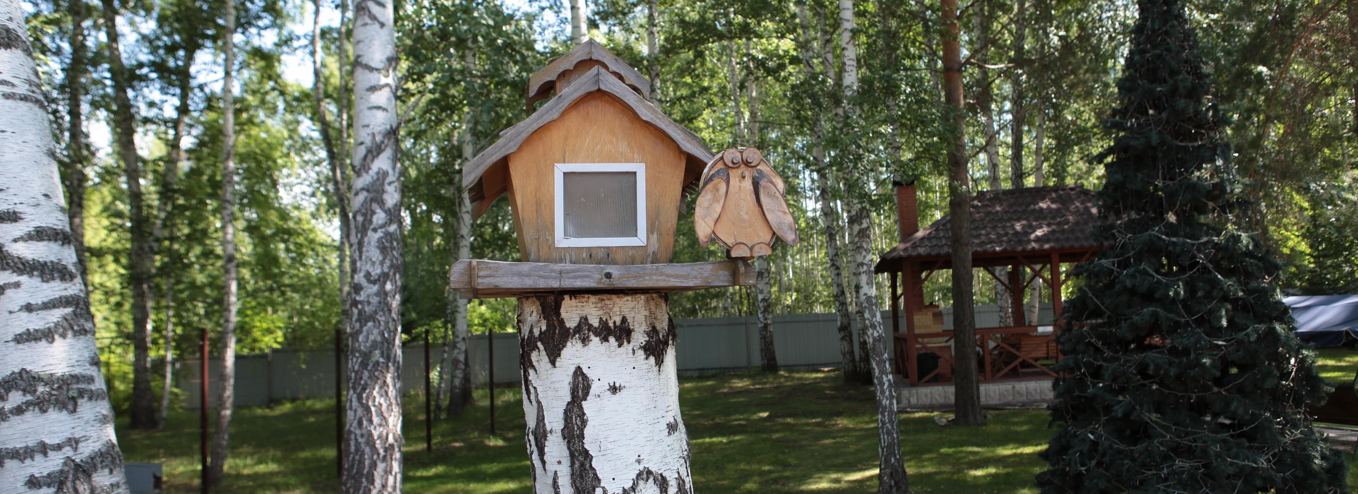 В концепции «СмартСити-Новосибирск» увеличили площадь озеленения