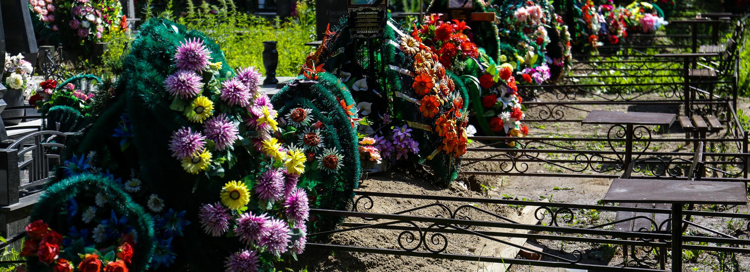 С восьми кладбищ Новосибирска выгнали клещей