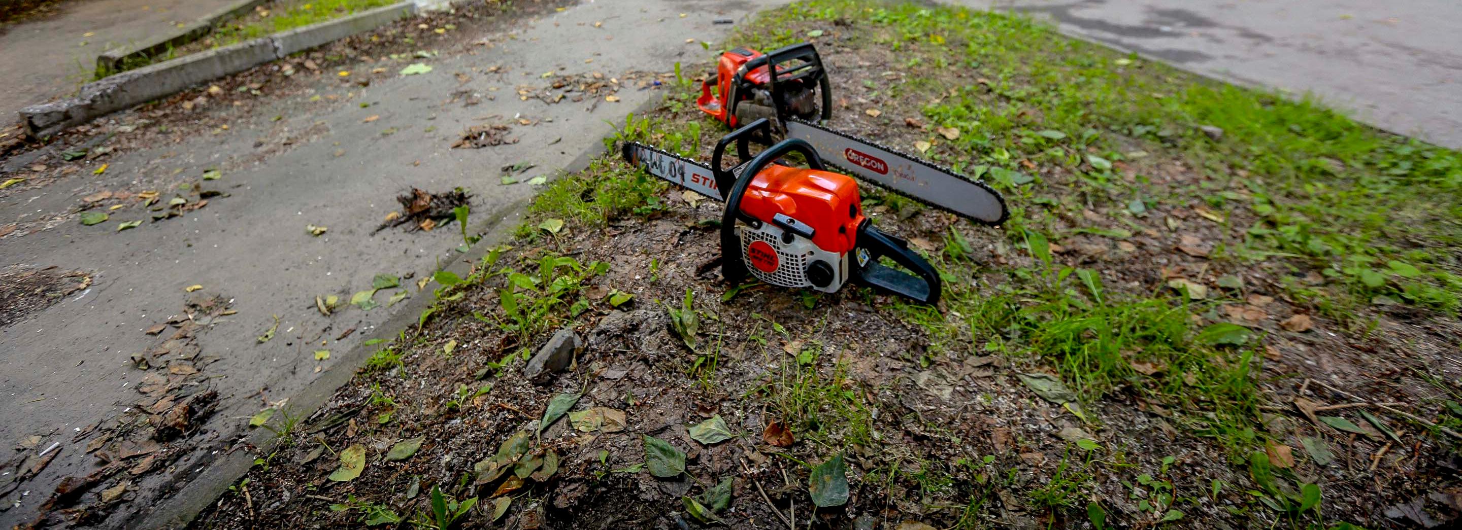 В трёх районах Новосибирска реконструируют газоны за 45 млн рублей