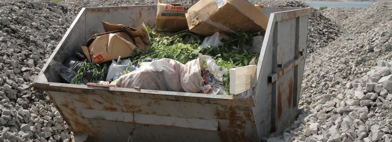 «Экология-Новосибирск» пояснила, почему не вывозят мусор из центра города