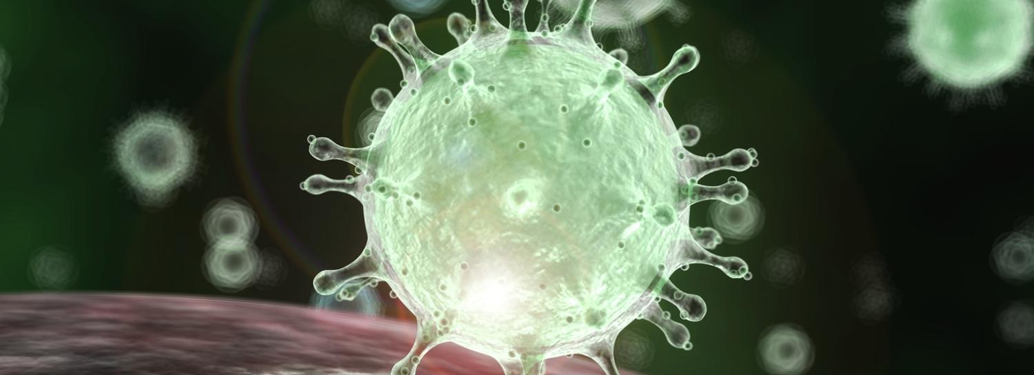 Учёные: лето может усугубить ситуацию с коронавирусом