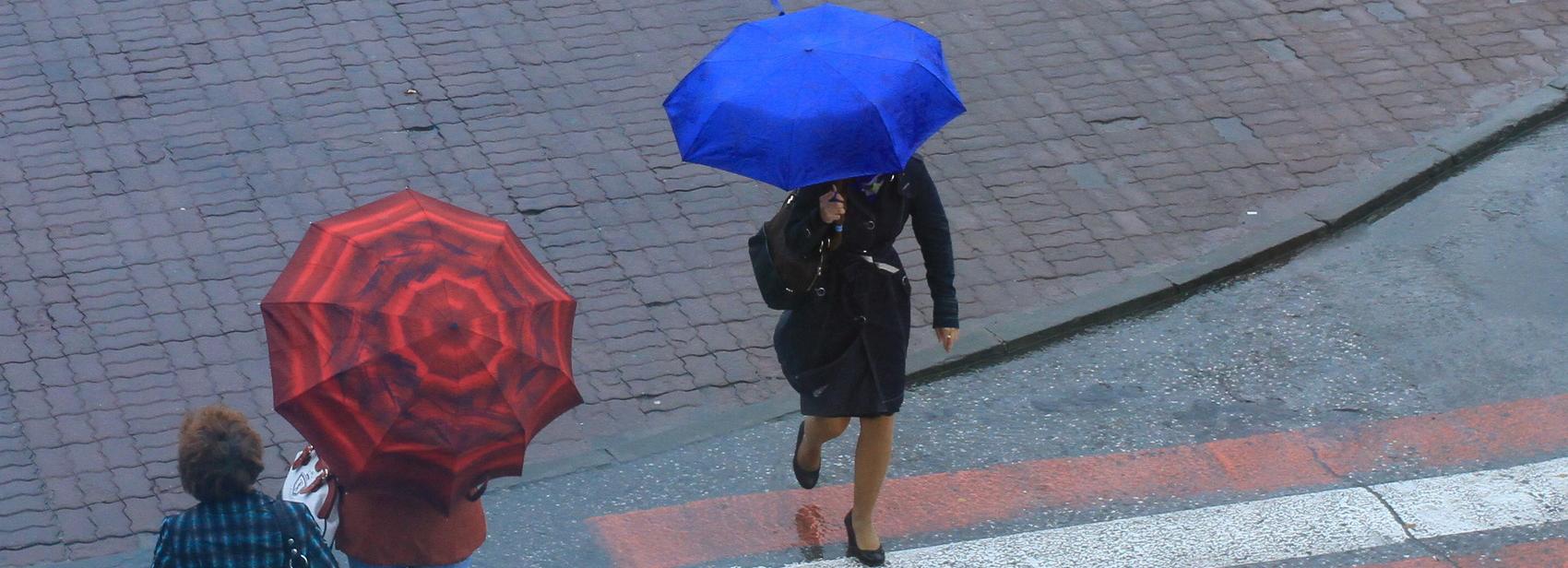 Синоптики предупредили новосибирцев о дождливой неделе