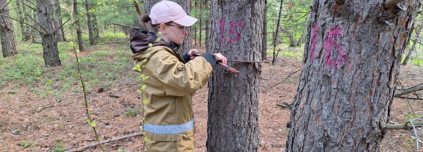 Лесопатологам устроили проверку знаний в чаще — фото