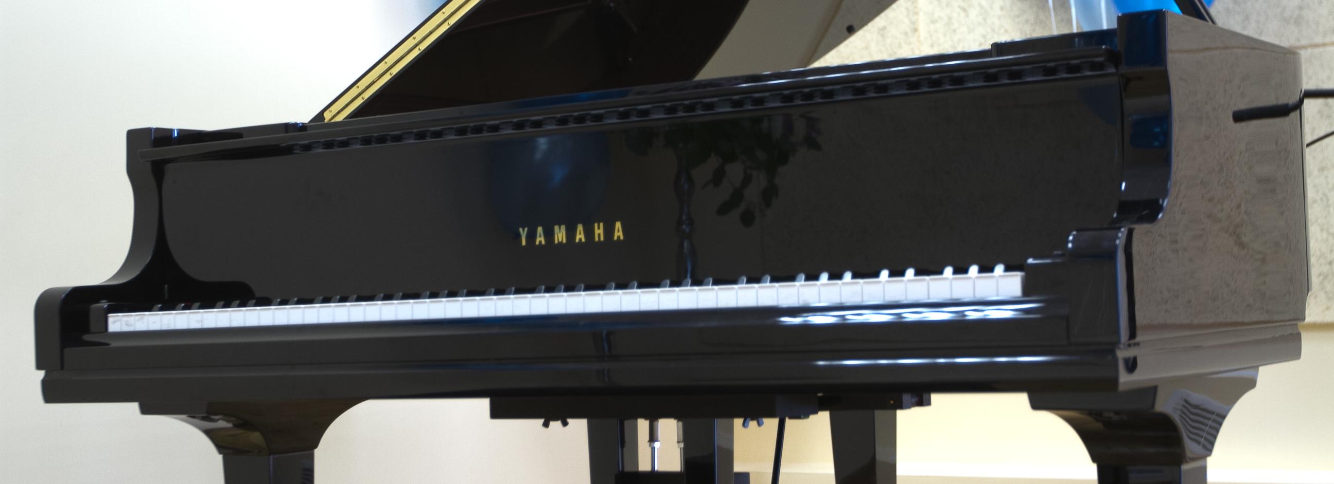 Нарисовать музыку Баха: необычную арт-терапию запустили в Новосибирске