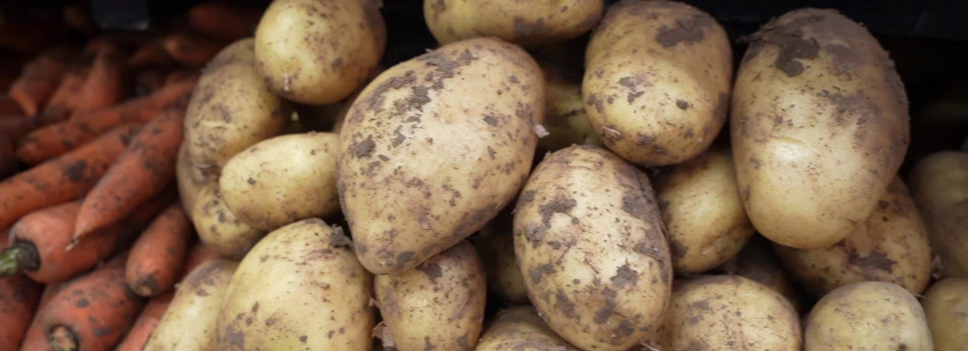 Дороже бананов из Эквадора: новосибирцев возмутили цены на картошку