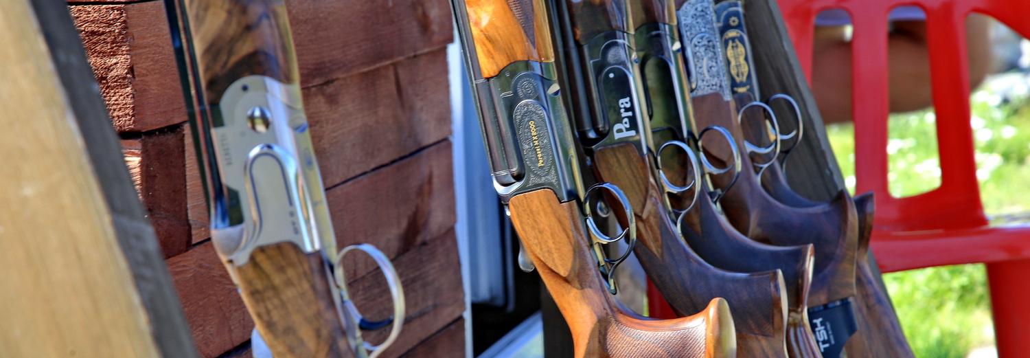 Новшества с 1 марта: визы в США, ввоз оружия и запрет на высадку детей