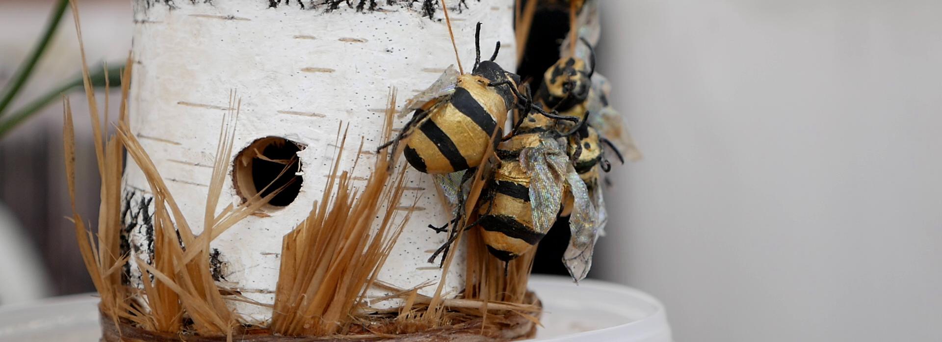 Липа, дягиль, разнотравье: сколько стоит мёд на ярмарке у ГПНТБ